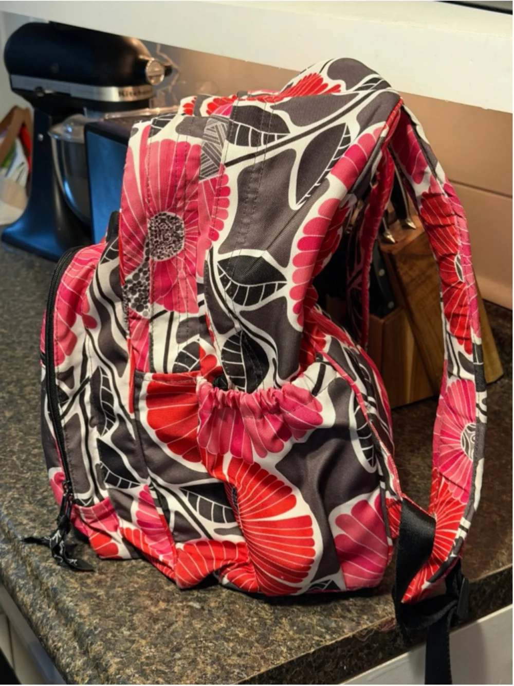 Vera Bradley Retired Cheery Blossoms Backpack